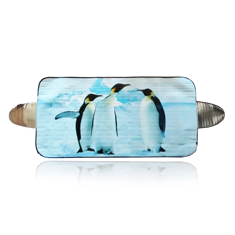 Protection pare-brise anti-givre 70 x 200 cm