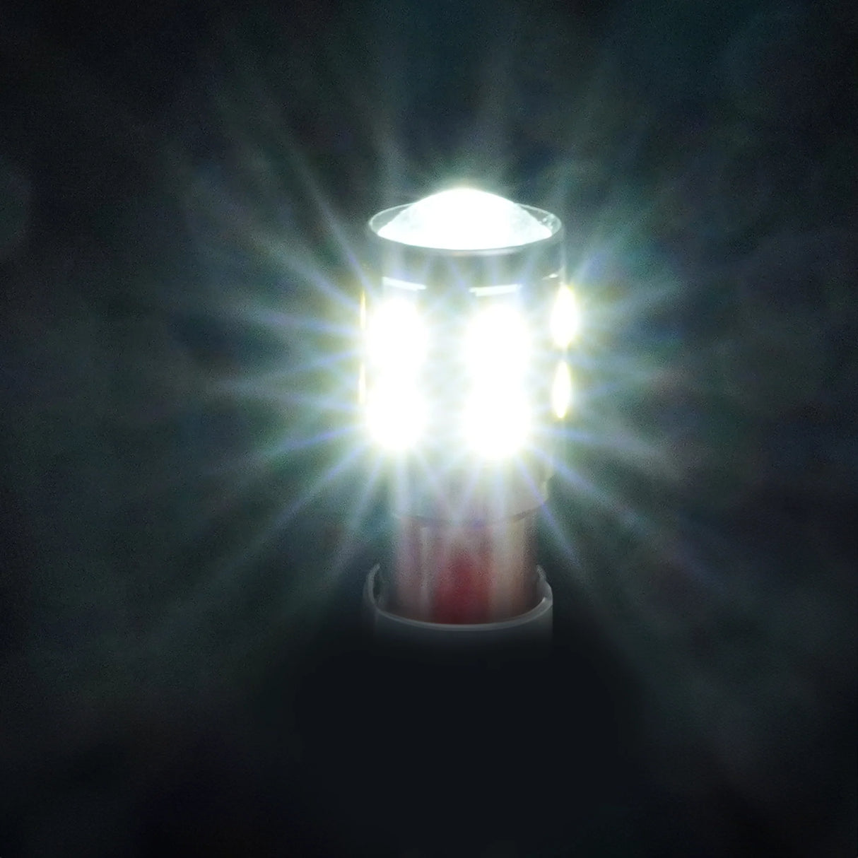 Coppia di lampadine SMD LED con attacco Ba15s