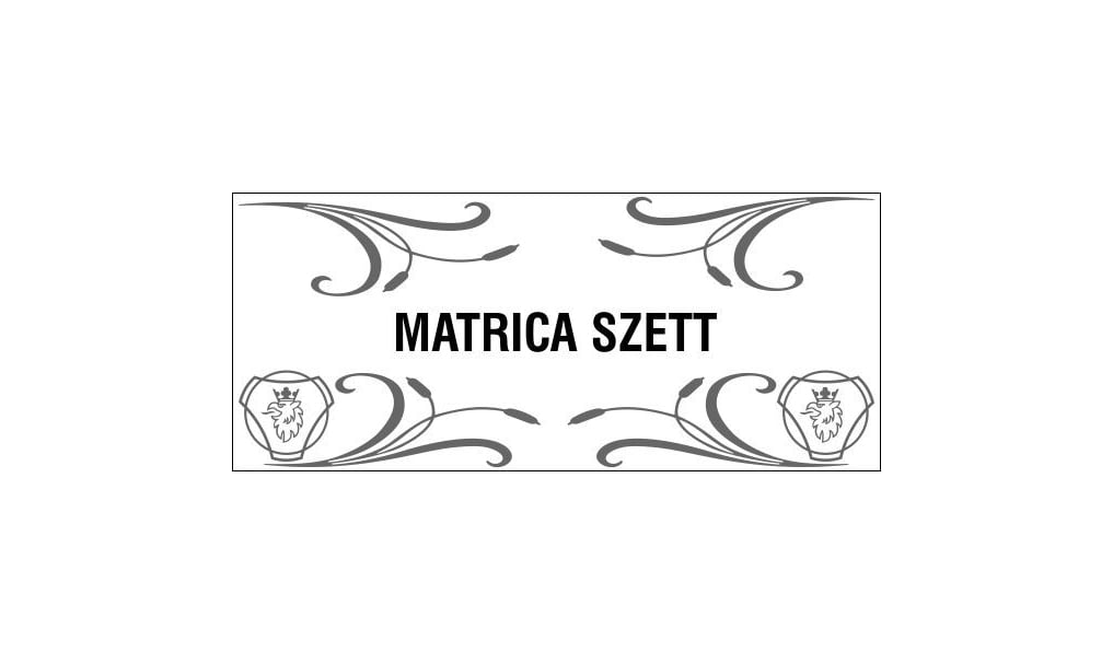 Set od 4 naljepnice za bočna stakla – motivi kamiona