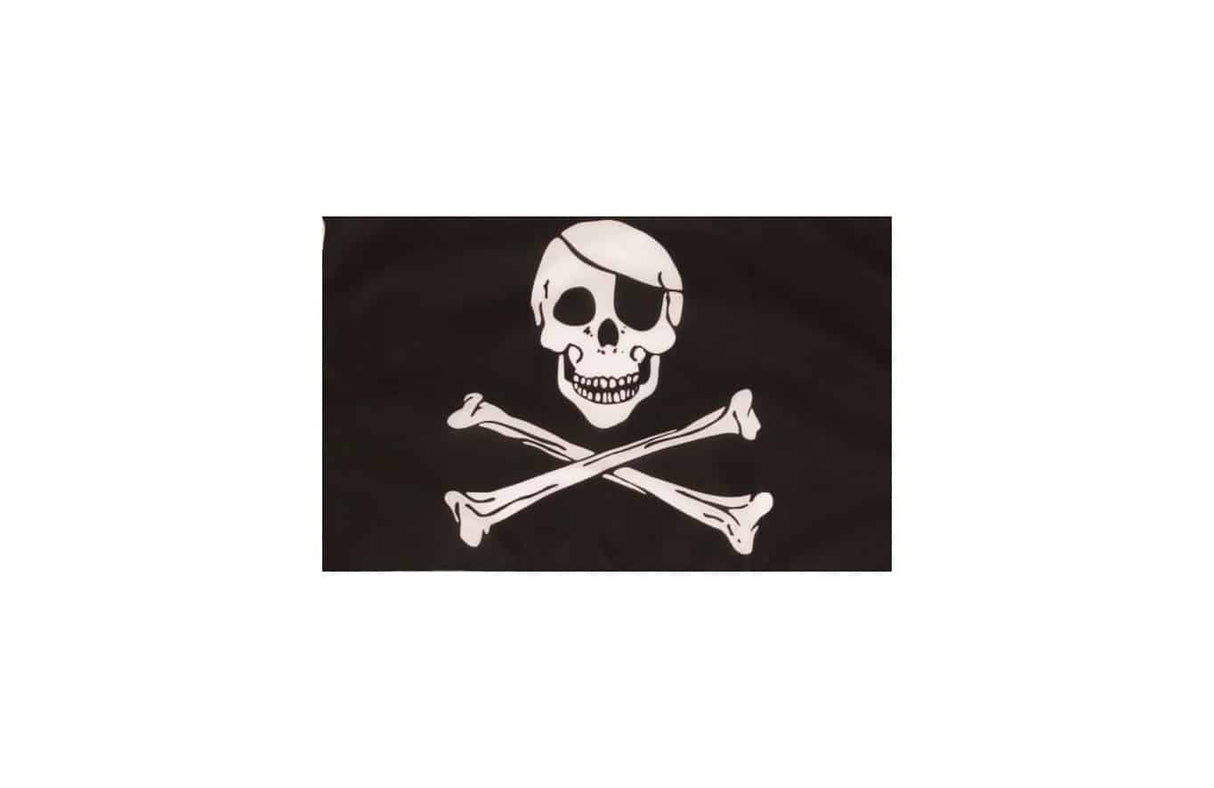 Zastavica s drškom (30x45 cm) – razni uzorci