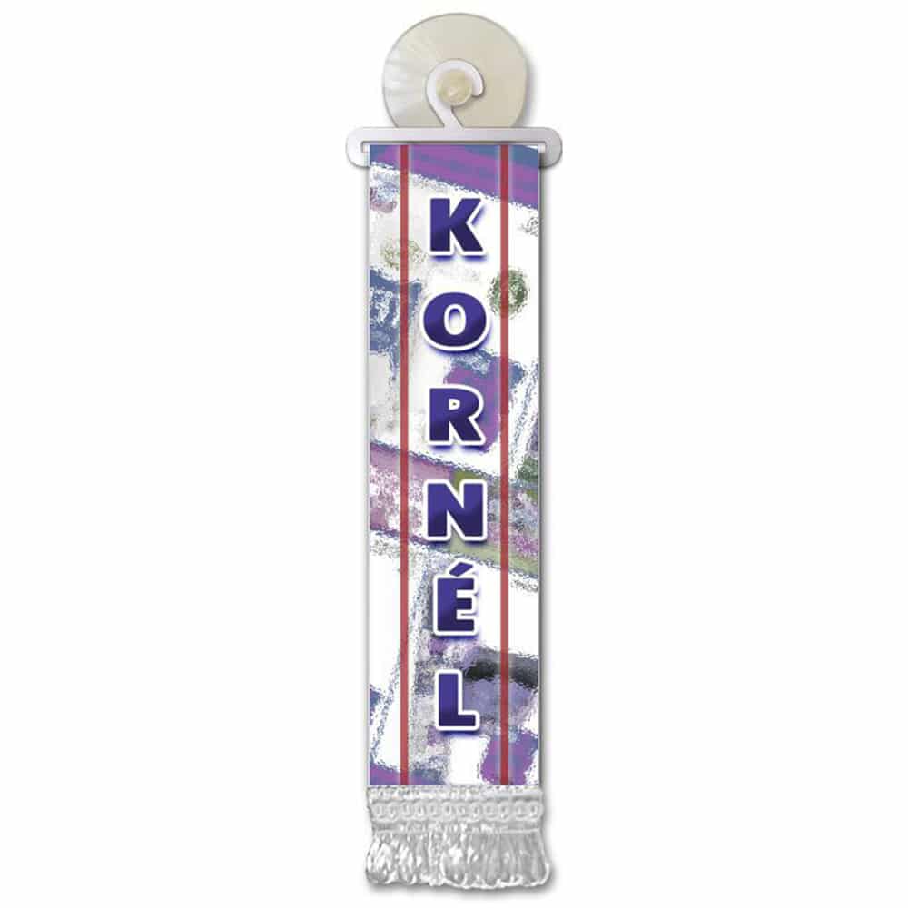 Personalizirana mini zastava za staklo s imenom (F-L)