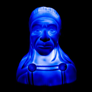 Éclairage décoratif LED 24V motif chef indien pour camion