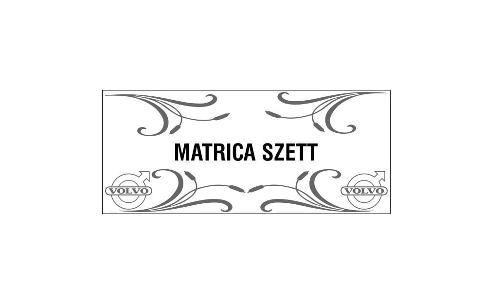 Set od 4 naljepnice za bočna stakla – motivi kamiona