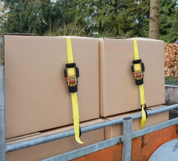 Avtomatski napenjalni trak s kavlji Dunlop, 4 m / 250 kg