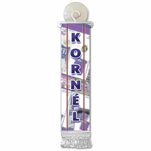 Personalizirana mini zastava za staklo s imenom (F-L)